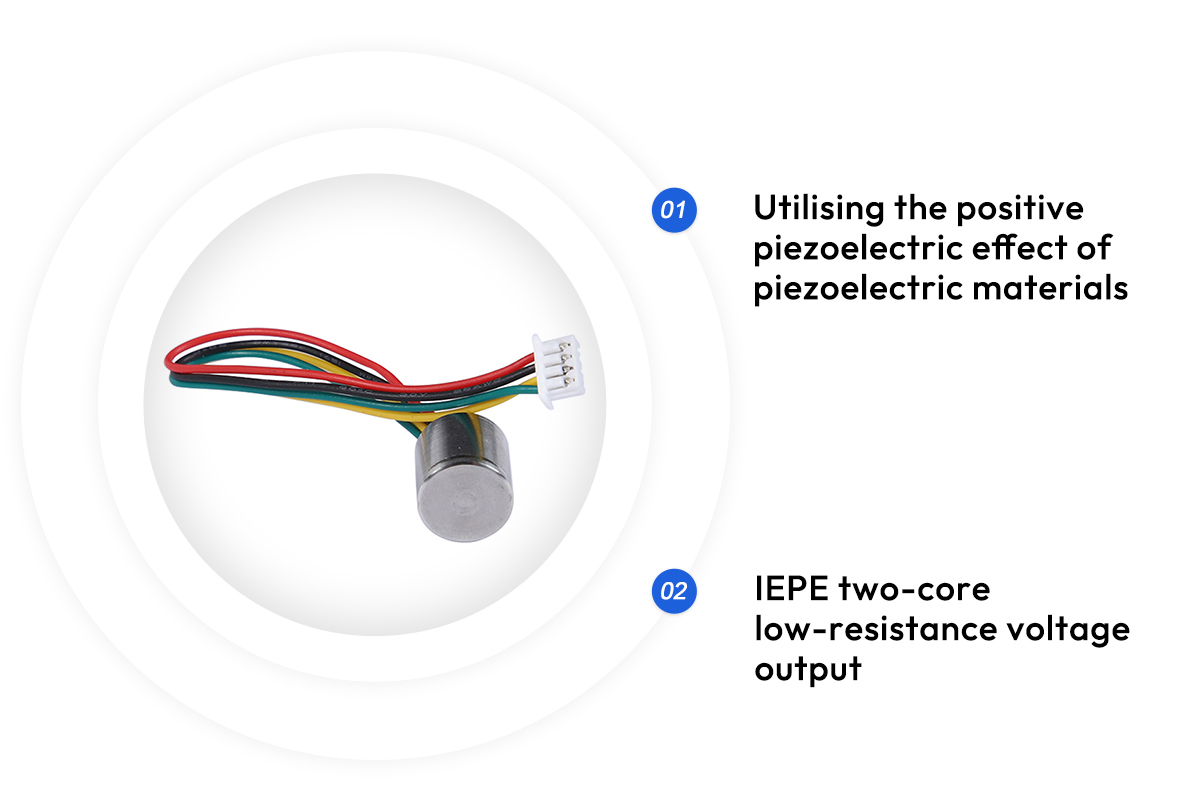 IMG_9069-1 - 副本 IMG_9069-1 - 副本