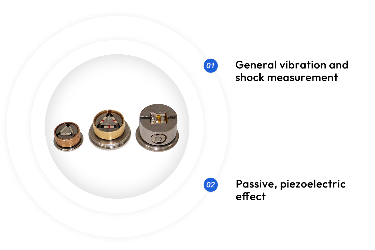 IMG_5950-1 - 副本 IMG_5950-1 - 副本