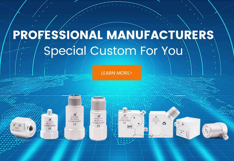 professional manufacturer